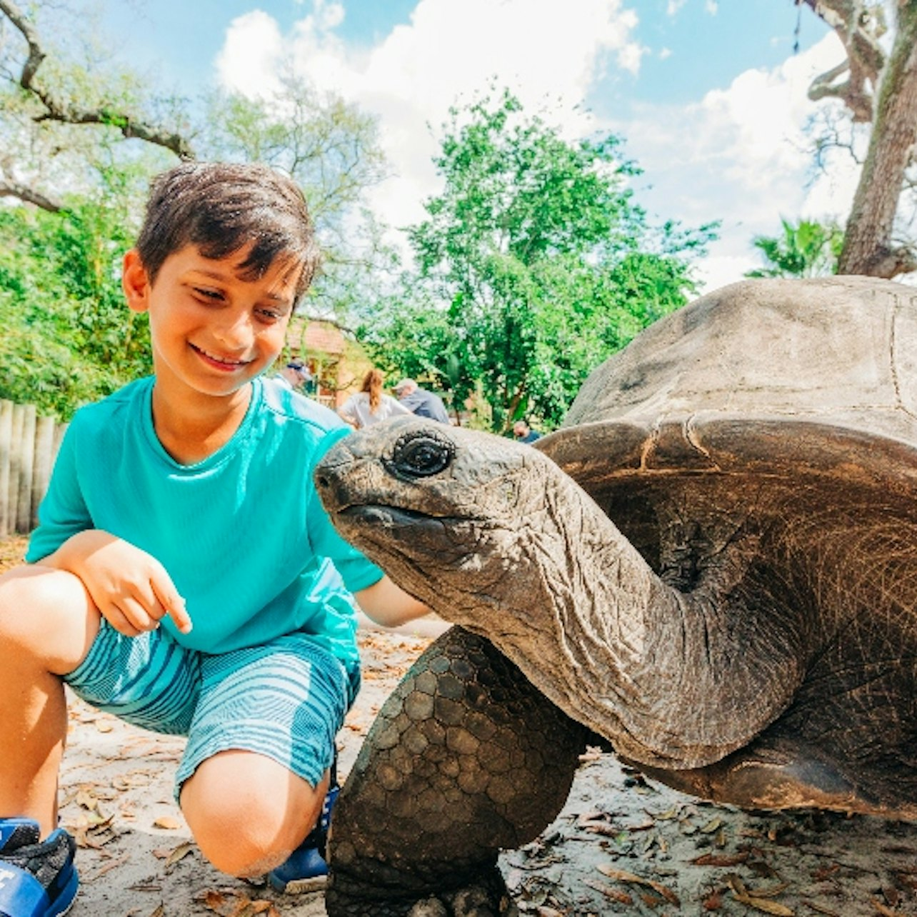 ZooTampa: Fast Track Admission - Photo 1 of 17